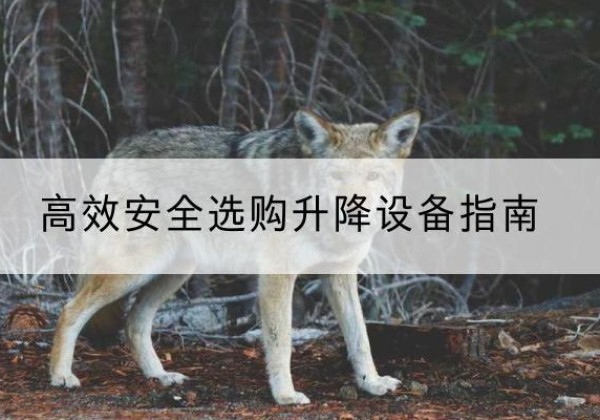 细河升降货梯厂家推荐-*安全选购升降设备指南