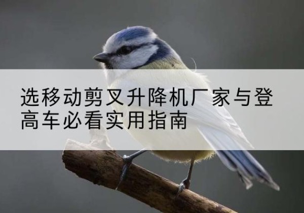 细河电动升降机厂家-选移动剪叉升降机厂家与登高车必看实用指南