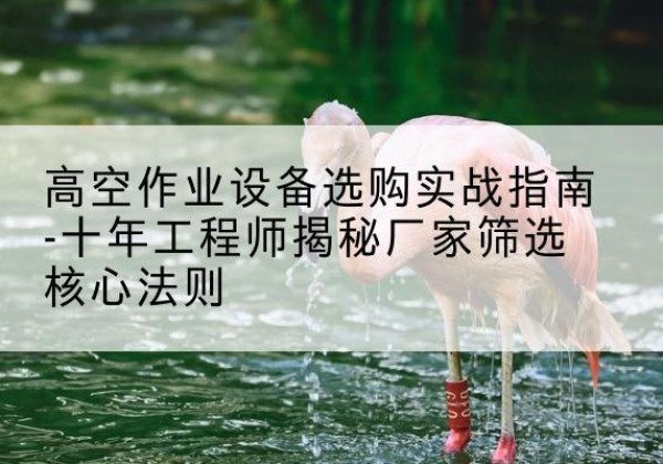 细河剪叉式升降机厂家-高空作业设备选购实战指南-十年工程师揭秘厂家筛选核心法则